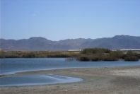 2007-04-03-047-Marismas