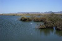 2007-04-03-048-Marismas