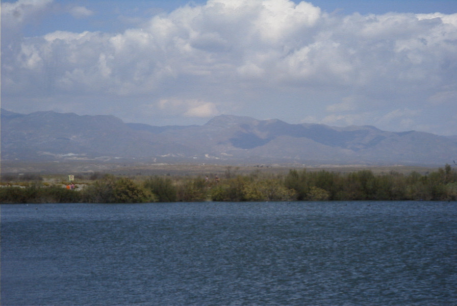 2007-04-03-049-Marismas