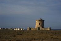 2007-04-04-005-Torre