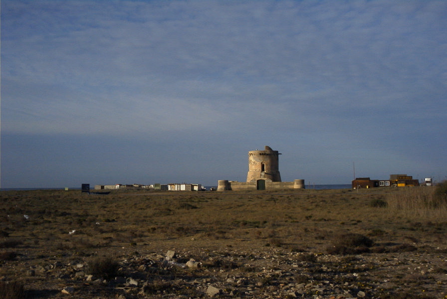2007-04-04-006-Torre