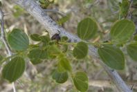 2007-04-04-019-Unknown