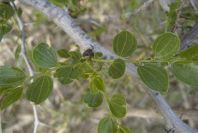 2007-04-04-020-Unknown