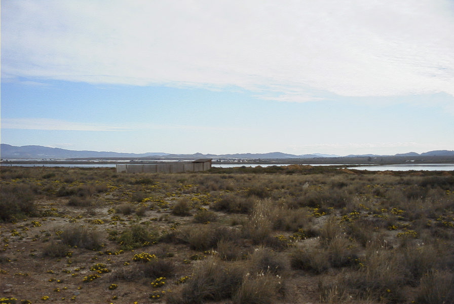 2007-04-04-042-Cabo-de-Gata