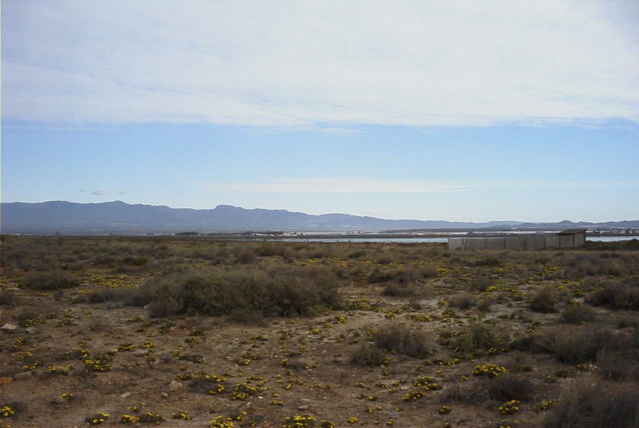 2007-04-04-043-Cabo-de-Gata