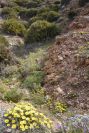 2007-04-04-078-Dry-river-bed