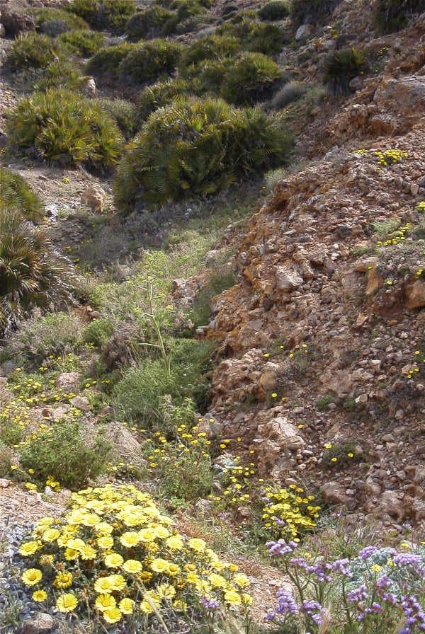 2007-04-04-078-Dry-river-bed