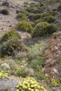 2007-04-04-079-Dry-river-bed