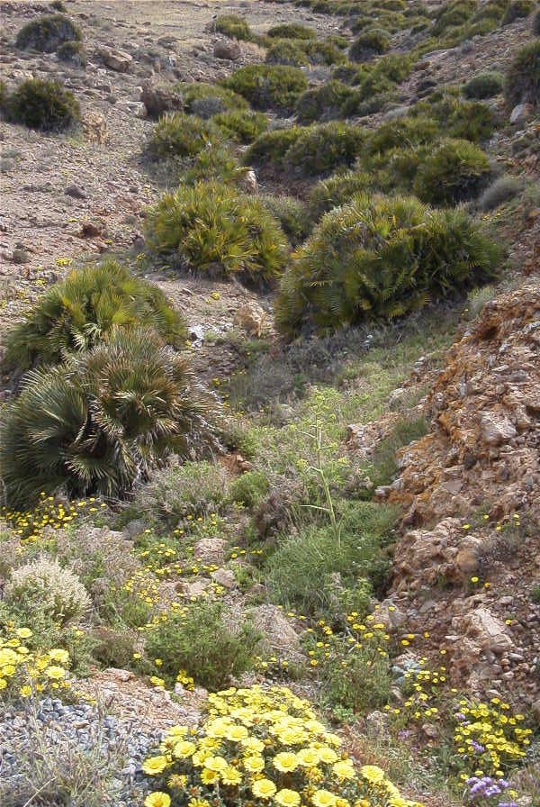 2007-04-04-079-Dry-river-bed