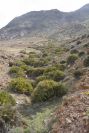 2007-04-04-080-Dry-river-bed
