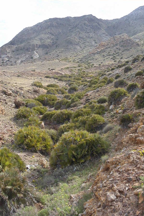 2007-04-04-080-Dry-river-bed