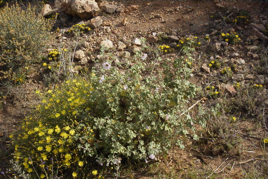2007-04-04-081-Unknown