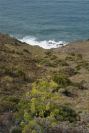 2007-04-04-097-Ferrula