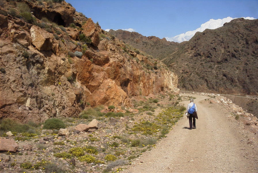 2007-04-04-126-Mountain-path