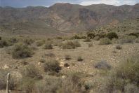 2007-04-04-155-San-Jose