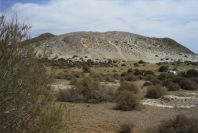 2007-04-04-156-Rampant-dunes