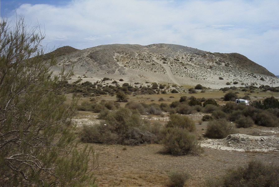 2007-04-04-156-Rampant-dunes