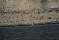 2007-04-05-039-Roquetas-Boat-Trip