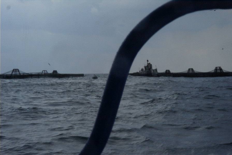 2007-04-05-043-Roquetas-Boat-Trip