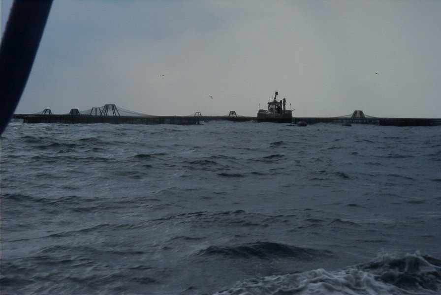 2007-04-05-045-Roquetas-Boat-Trip