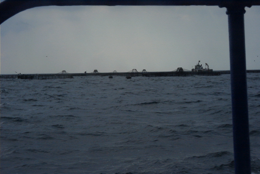2007-04-05-047-Roquetas-Boat-Trip