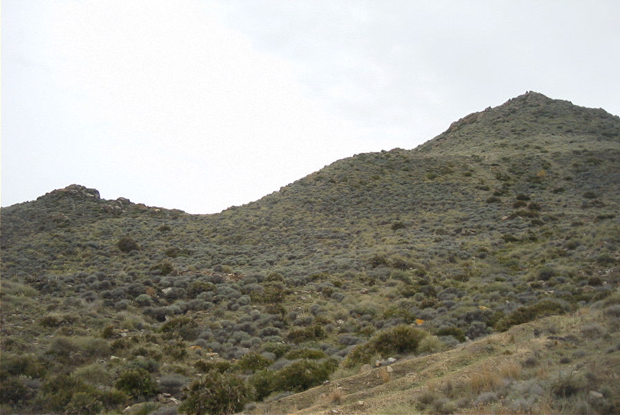 2007-04-08-019-Terrain