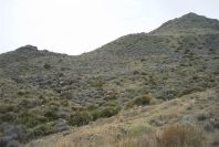 2007-04-08-020-Terrain