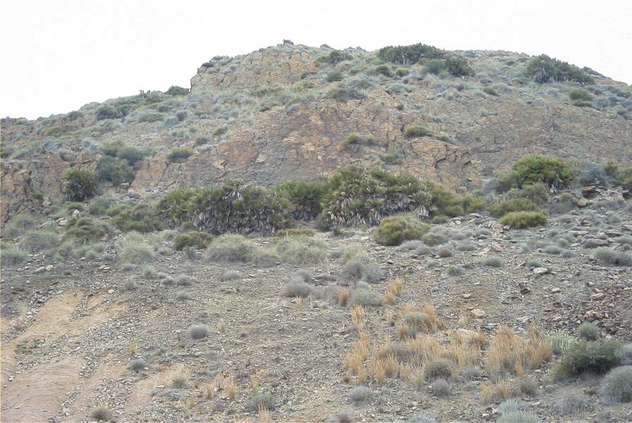 2007-04-08-022-Terrain