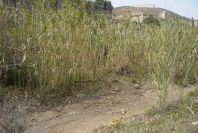 2007-04-08-083-River-Bed