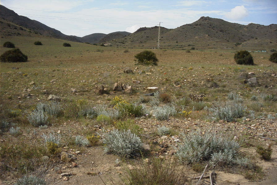 2007-04-08-085-Meadow