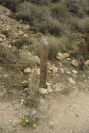 2007-04-09-004-Waymark