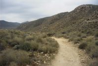 2007-04-09-005-Path-to-Playazo