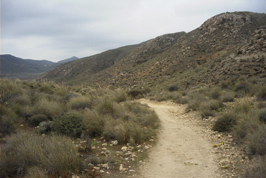2007-04-09-005-Path-to-Playazo