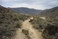 2007-04-09-006-Path-to-Playazo