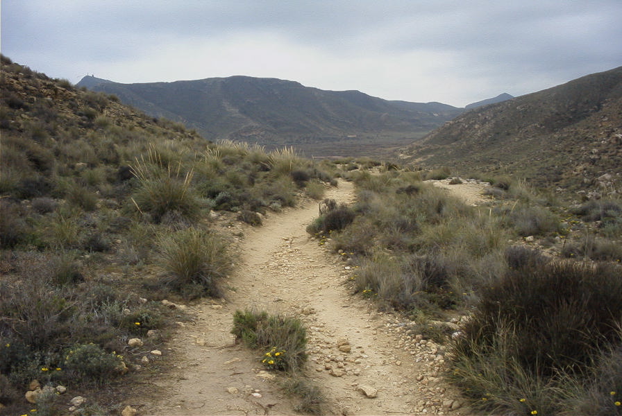 2007-04-09-006-Path-to-Playazo