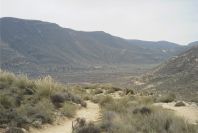 2007-04-09-007-Path-to-Playazo