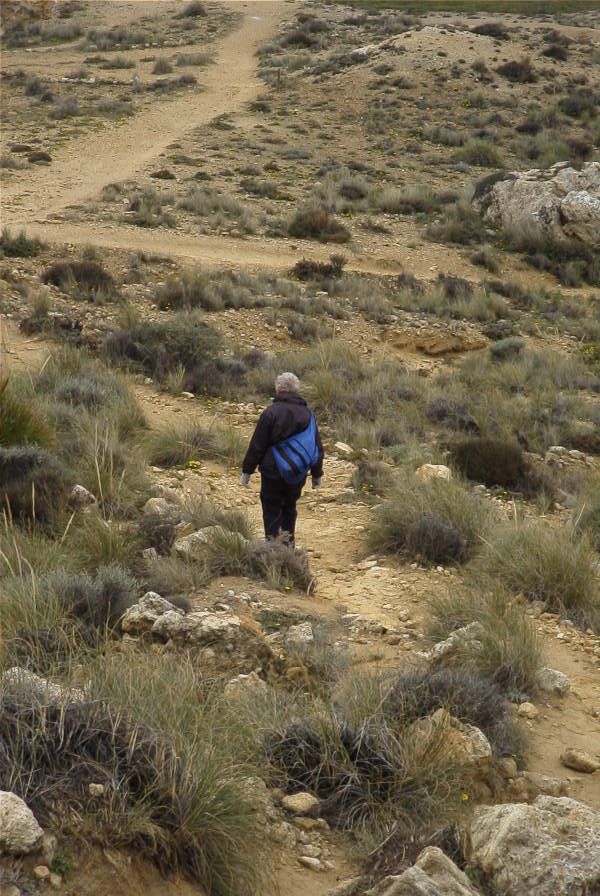 2007-04-09-012-Path-to-Playazo