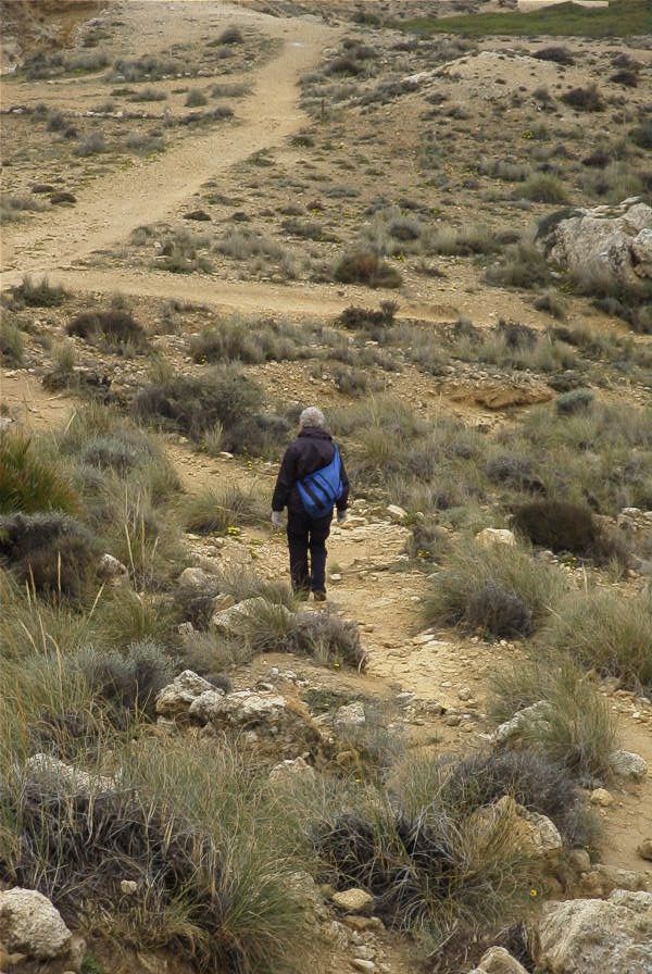 2007-04-09-013-Path-to-Playazo