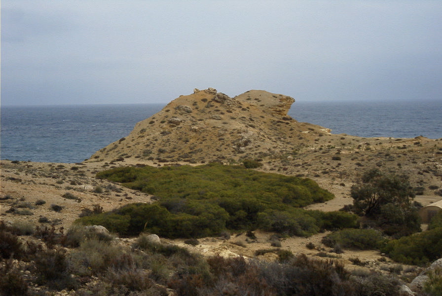 2007-04-09-016-Playazo