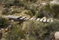 2007-04-09-017-Path-to-Playazo
