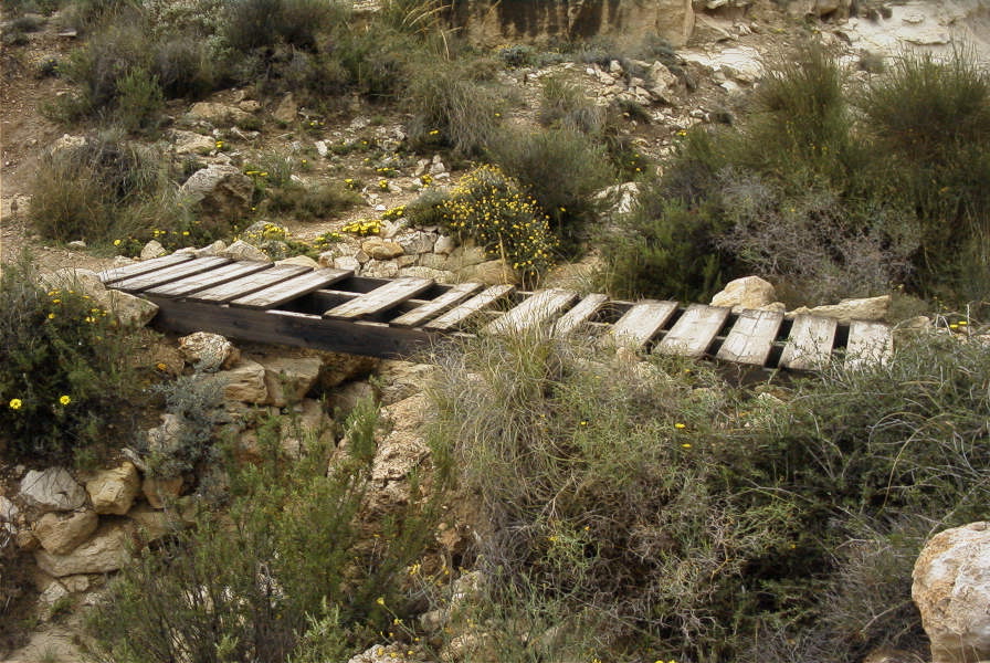 2007-04-09-017-Path-to-Playazo