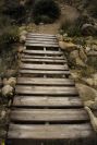 2007-04-09-018-Path-to-Playazo