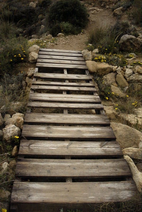 2007-04-09-018-Path-to-Playazo