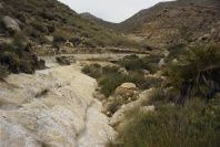2007-04-09-018-Playazo-River-Bed
