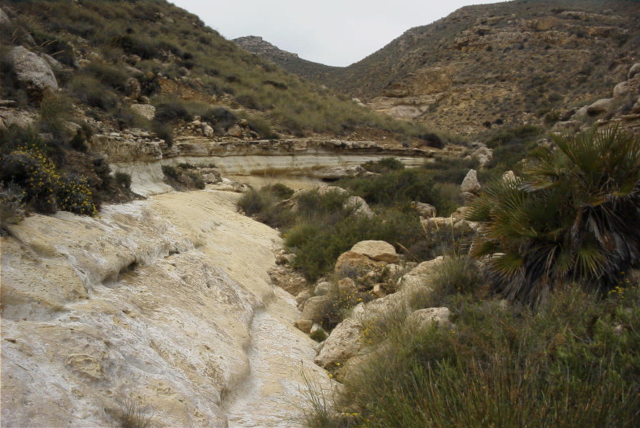 2007-04-09-018-Playazo-River-Bed