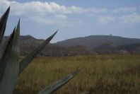 2007-04-09-024-Path-to-La-Isleta