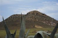 2007-04-09-025-Path-to-La-Isleta