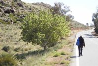 2007-04-09-029-Road-to-La-Isleta