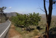 2007-04-09-031-Road-to-La-Isleta