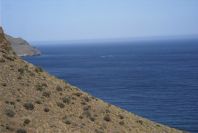 2007-04-09-039-Near-La-Isleta-Fish-Farm